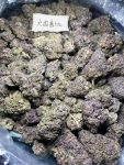 紫雾 Purple Haze